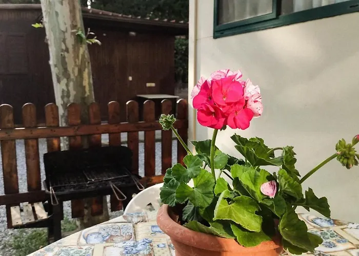 La Pineta 홀리데이파크 알벤가