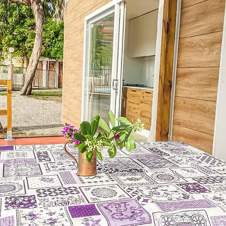 La Pineta 2* ألبينغا