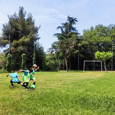 La Pineta 2*