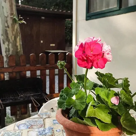 La Pineta منتزه العطل ألبينغا