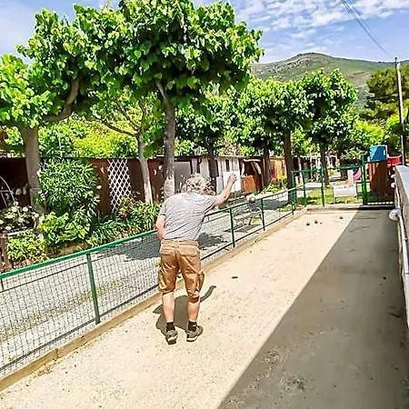 La Pineta 2*