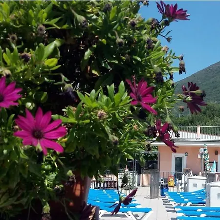 La Pineta